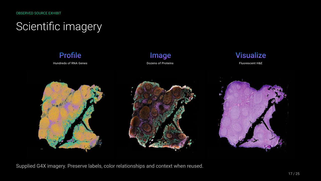 Singular Genomics gallery image 17
